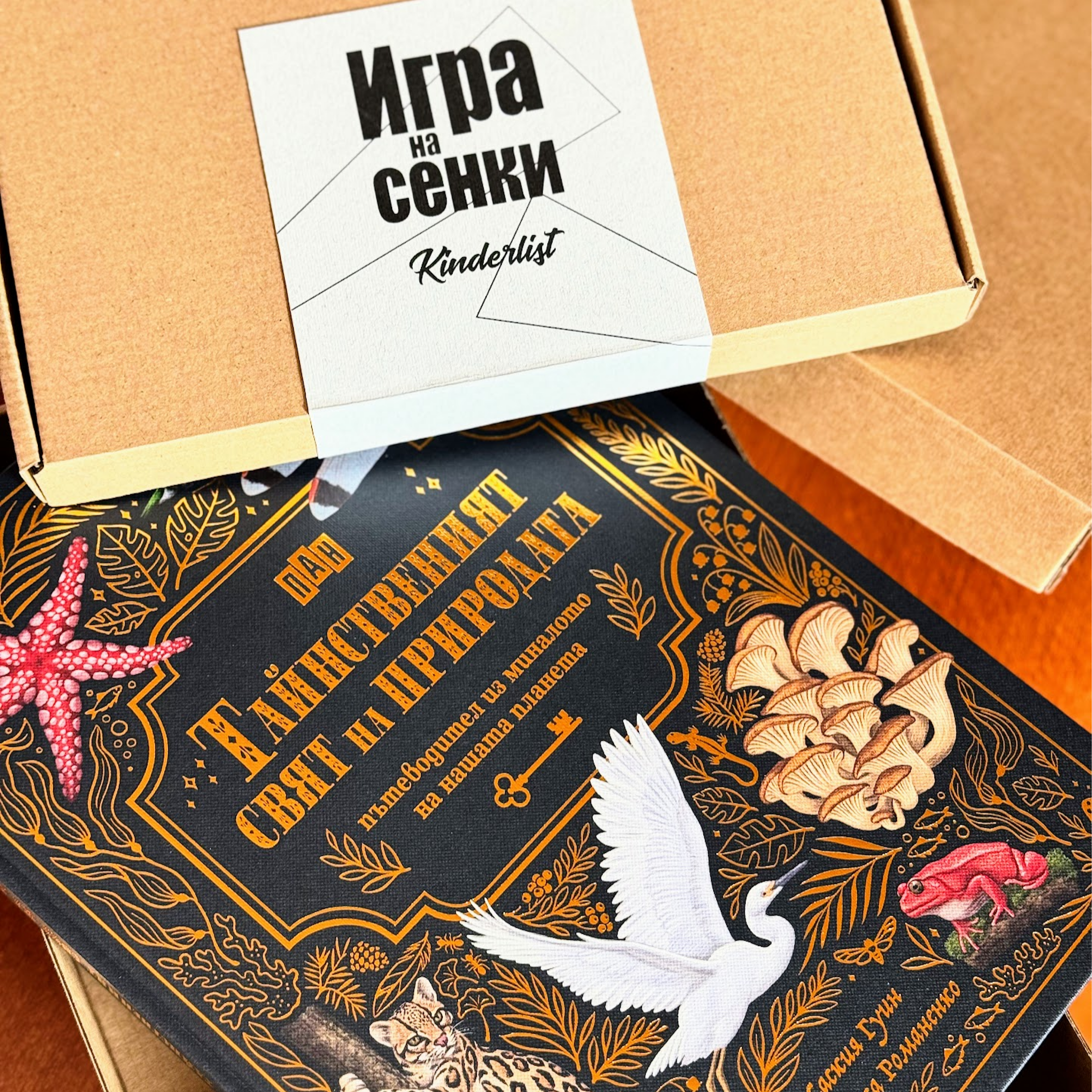 Детска абонаментна книжна кутия – 7-10 г.